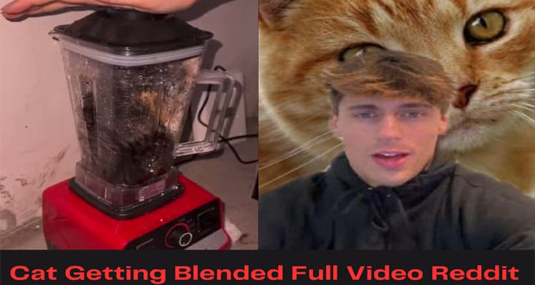 {New Video Link} Cat Getting Blended Full Video Reddit – Watch Video Link On Twitter!